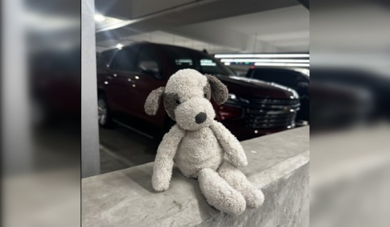 Austin Airport Reunites Toddler with Misplaced Toy Just in Time for Holidays