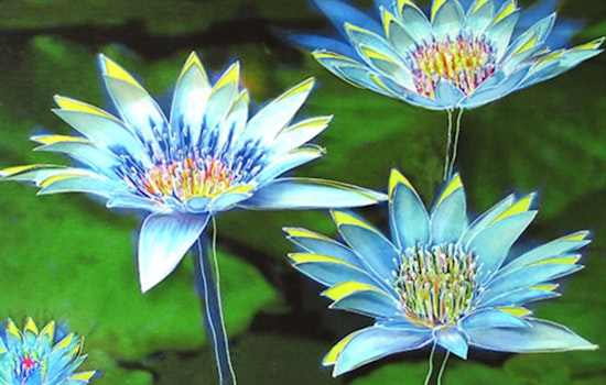 Austin Artist Francine Funke Debuts 'Fantastical Flora' Exhibition at Old Bakery and Emporium