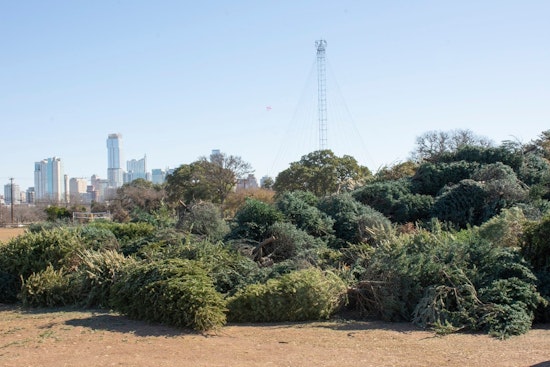 Austin Ushers in New Year with Tree Recycling Program to Turn Holiday Firs into Compost