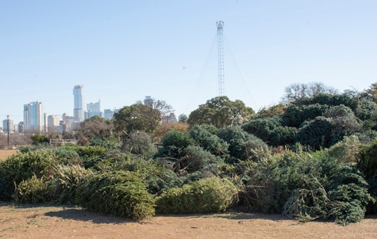 Austin Ushers in New Year with Tree Recycling Program to Turn Holiday Firs into Compost