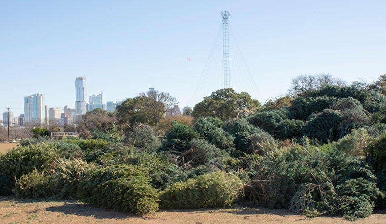 Austin Ushers in New Year with Tree Recycling Program to Turn Holiday Firs into Compost