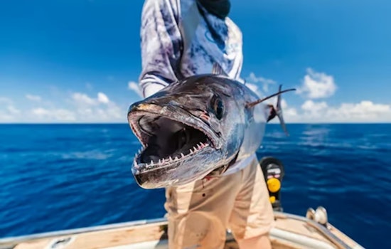 Austin's Jonathan Newar Lands on Forbes' "30 Under 30" for Revolutionizing Outdoor Adventure Bookings