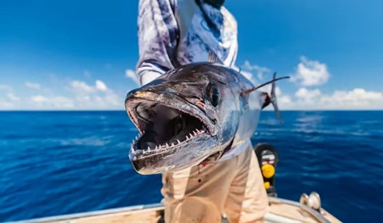 Austin's Jonathan Newar Lands on Forbes' "30 Under 30" for Revolutionizing Outdoor Adventure Bookings