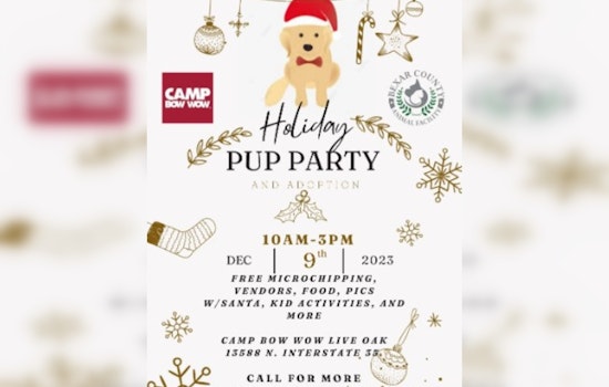 Bexar County Hosts Festive Adoption Event to Find Forever Homes for Pets this Holiday Season