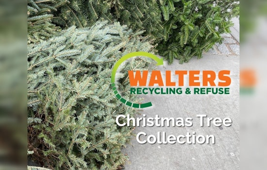 Blaine Residents Offered Convenient Curbside Christmas Tree Collection by Walters Recycling & Refuse