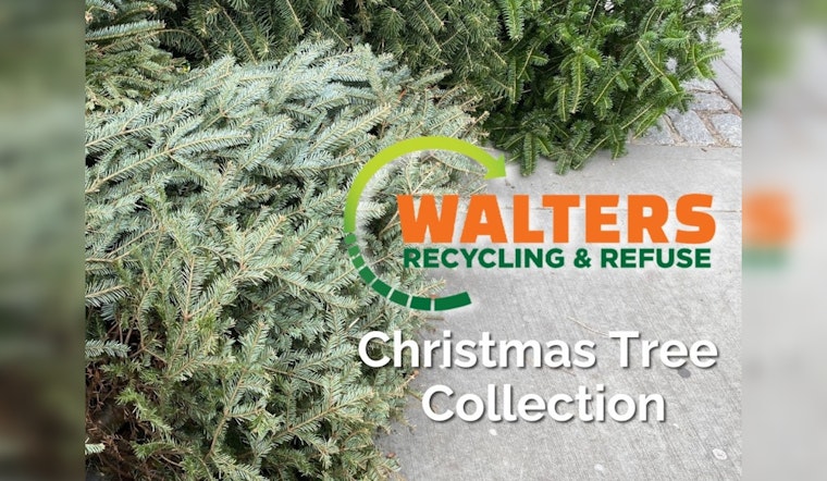 Blaine Residents Offered Convenient Curbside Christmas Tree Collection by Walters Recycling & Refuse
