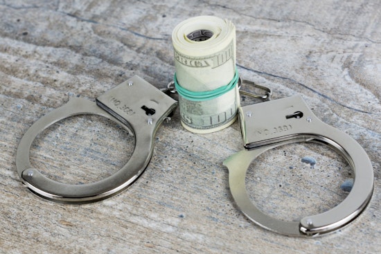 Bloomin' Bad CBP Plucks $10M Drug Stash from Fake Flower Freight at Laredo Port