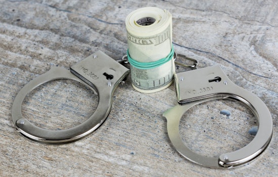 Bloomin' Bad CBP Plucks $10M Drug Stash from Fake Flower Freight at Laredo Port