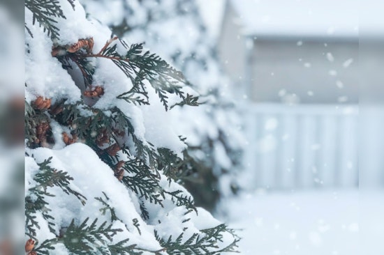 Boston Braces for Flurry Fury, City Set for Season's First Snowfall Snarl-Up