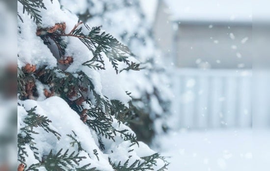 Boston Braces for Flurry Fury, City Set for Season's First Snowfall Snarl-Up
