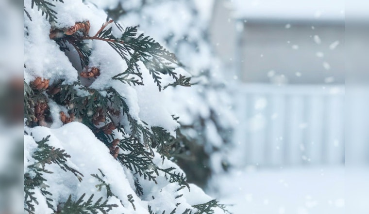 Boston Braces for Flurry Fury, City Set for Season's First Snowfall Snarl-Up