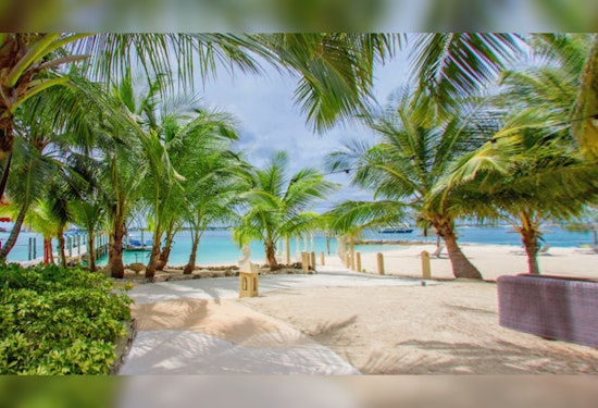 Boston Bride's Bahamas Nightmare, New Wife Killed by Shark While Paddle Boarding