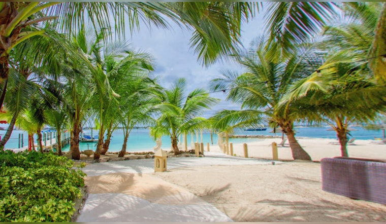 Boston Bride's Bahamas Nightmare, New Wife Killed by Shark While Paddle Boarding