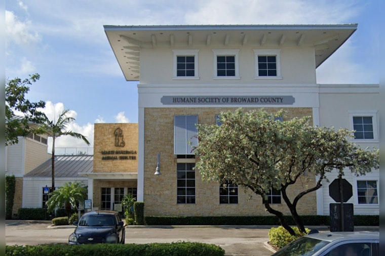 Broward County Humane Society Champions Quest for 'Furever' Homes for Pearla and Buttercup