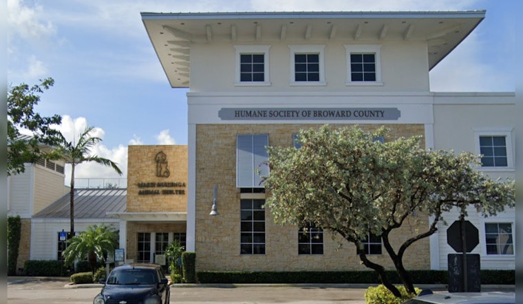 Broward County Humane Society Champions Quest for 'Furever' Homes for Pearla and Buttercup
