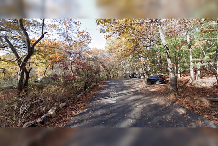 Burlington Police Search for Suspect Accused in Assault on Elderly Dog Walker at Mill Pond Reservoir