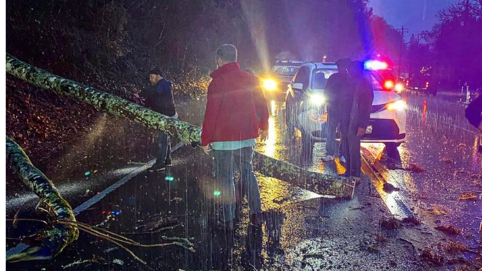 Calistoga Community and Police Unite After Tree Falls on Car,