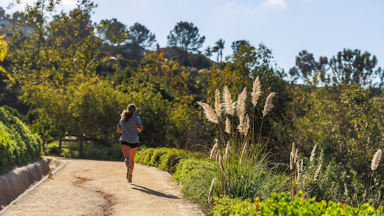 Carlsbad's 67 Miles of Trails Beckon Hikers for Post-Christmas Adventures