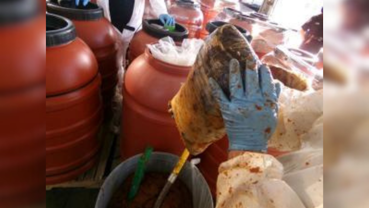 CBP Uncovers $10M Drug Stash in Jalapeno Paste at Otay Mesa Cargo Facility