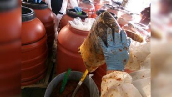 CBP Uncovers $10M Drug Stash in Jalapeno Paste at Otay Mesa Cargo Facility