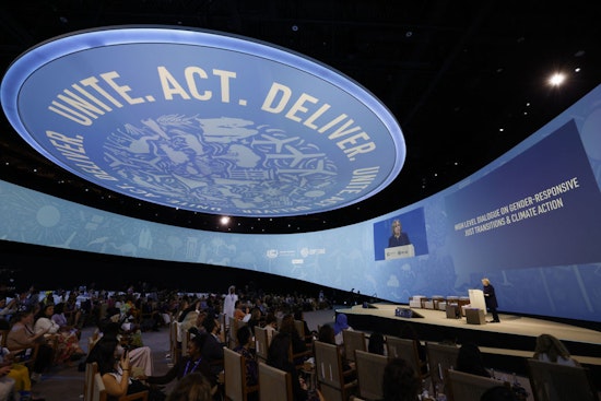 Chi-Town Teens Tackle Climate Crisis in Dubai, Taking on Big Oil's COP28 Caravan