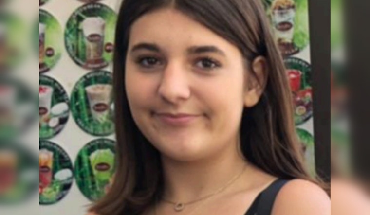 Chicago Police Search for Missing 15-Year-Old Amina Dzananovic, Public's Help Sought
