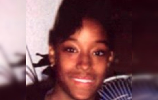 Chicago Sheriff's Office Revitalizes Search for Nicole Johnson, Missing Since 2002