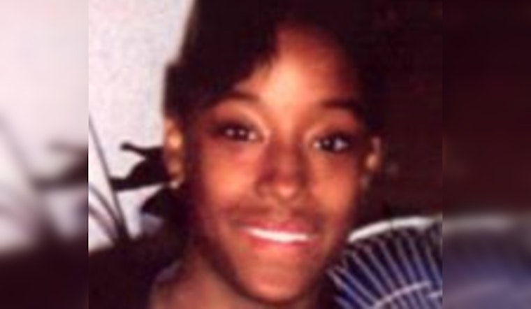 Chicago Sheriff's Office Revitalizes Search for Nicole Johnson, Missing Since 2002