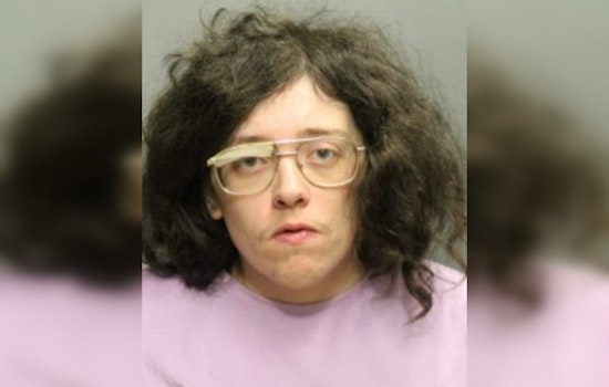 Chicago Woman Charged With Hate Crimes and Property Defacement