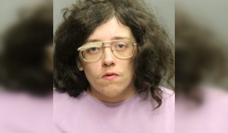 Chicago Woman Charged With Hate Crimes and Property Defacement
