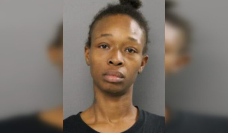 Chicago Woman Cuffed for Forceful Felony Fracas