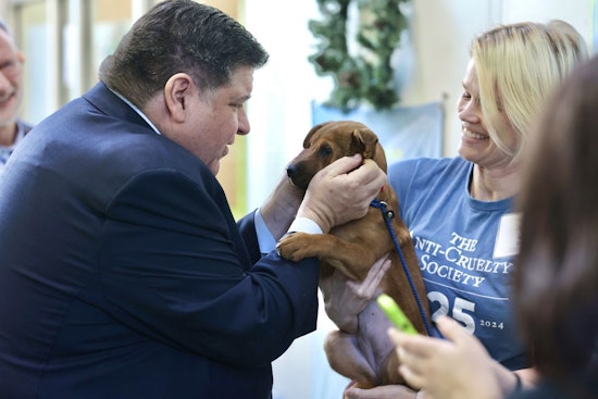 Chicago's Anti-Cruelty Society Sparks Wave of Adoptions with Fee-Waiving Campaign Amid Shelter Overcrowding