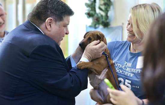 Chicago's Anti-Cruelty Society Sparks Wave of Adoptions with Fee-Waiving Campaign Amid Shelter Overcrowding