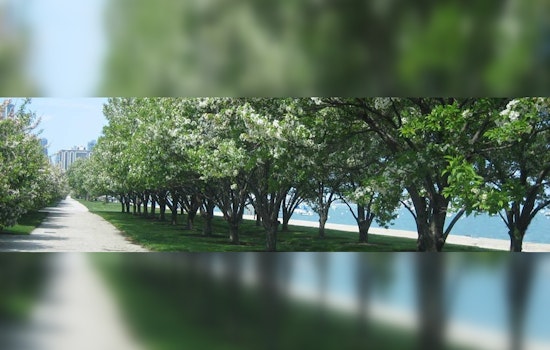 Chicago's Green Triumph Questioned, Volunteers Critical Despite Planting 23,000 Trees Amid Urban Forestry Efforts