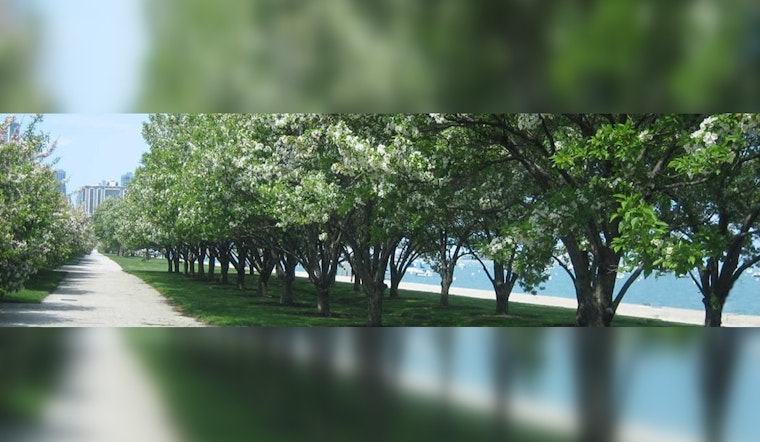 Chicago's Green Triumph Questioned, Volunteers Critical Despite Planting 23,000 Trees Amid Urban Forestry Efforts