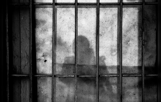 Chinese National Pleads Guilty to Possessing Child Pornography, Faces 20 Years in Texas