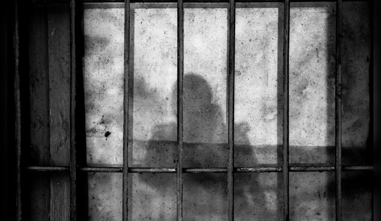 Chinese National Pleads Guilty to Possessing Child Pornography, Faces 20 Years in Texas