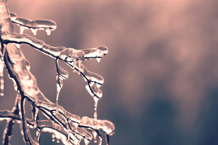 City of Austin Locals Beefs Up for Winter Weather