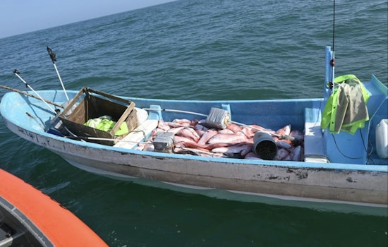 Coast Guard Seizes 2,640 Pounds of Illegally Caught Red Snapper, 20 Fishermen Detained
