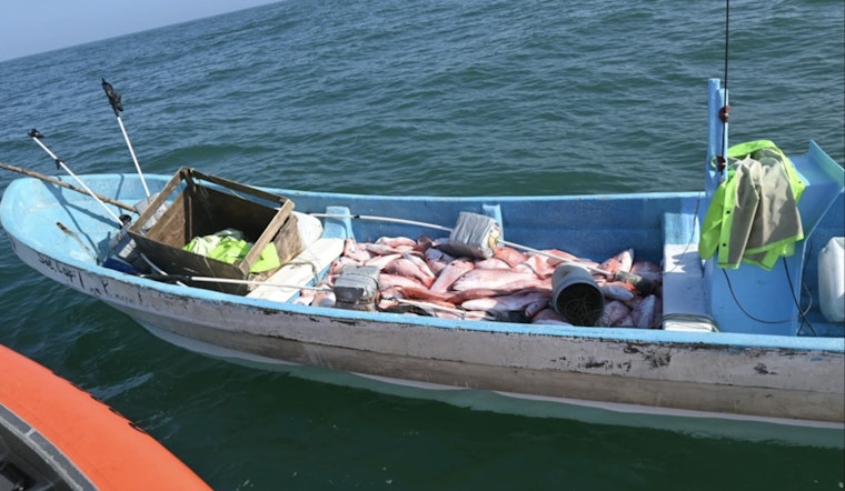 Coast Guard Seizes 2,640 Pounds of Illegally Caught Red Snapper, 20 Fishermen Detained