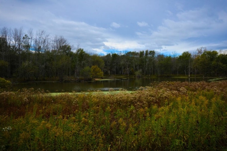 Cook County Voters Seed $40 Million for Forest Preserves Growth and Pensions
