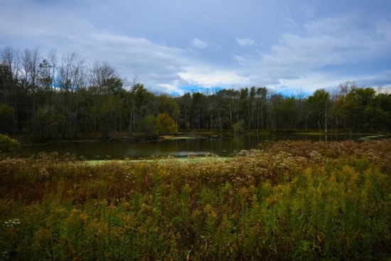 Cook County Voters Seed $40 Million for Forest Preserves Growth and Pensions