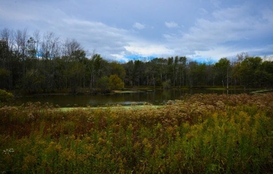 Cook County Voters Seed $40 Million for Forest Preserves Growth and Pensions