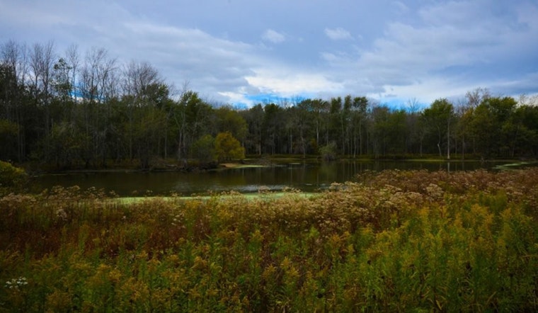 Cook County Voters Seed $40 Million for Forest Preserves Growth and Pensions