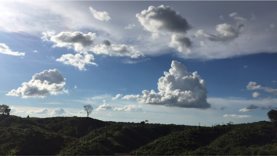 Dallas to Revel in Sunny Days Before Weekend Showers, Says National Weather Service