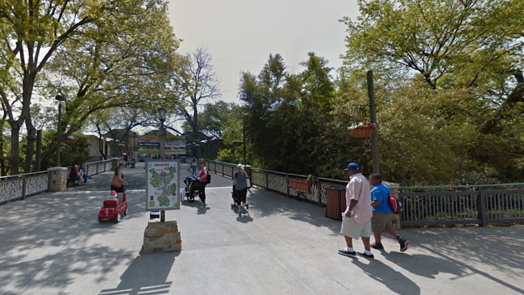 Dallas Zoo Delays Opening Due to Water Main Break, Urges Patrons to Follow Updates on Twitter