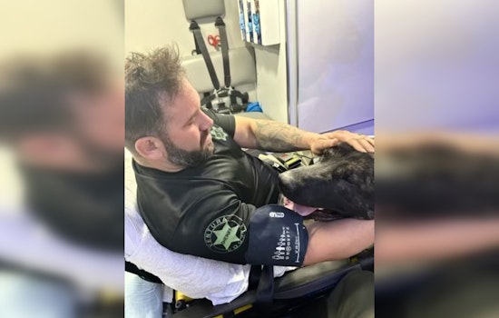 Deputy and K9 Injured in PCH Crash, Suspect Arrested for Felony DUI After Collision Near Ventura