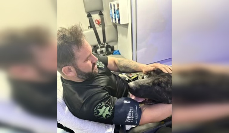 Deputy and K9 Injured in PCH Crash, Suspect Arrested for Felony DUI After Collision Near Ventura