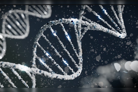 DNA Technology Cracks Decades-Old Texas Tragedy, Identifying Victim in Chilling '86 Cold Case