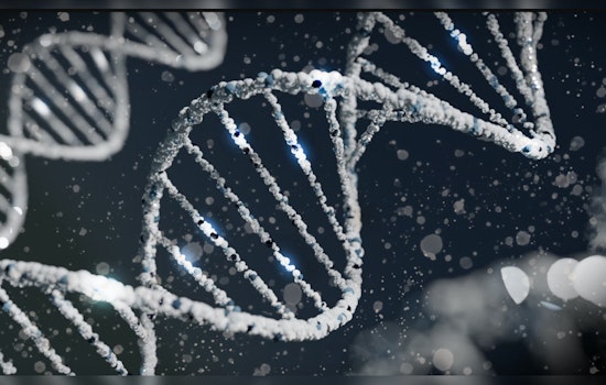 DNA Technology Cracks Decades-Old Texas Tragedy, Identifying Victim in Chilling '86 Cold Case